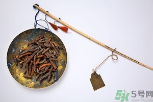 冬蟲(chóng)夏草真假怎么鑒別？冬蟲(chóng)夏草怎么吃效果最好？