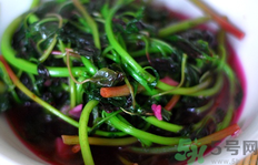 漢菜可以和蝦一起吃嗎?漢菜能和蝦同吃嗎? 漢菜可以和蝦一起吃嗎?漢菜能和蝦同吃嗎?