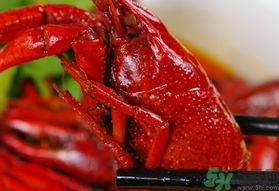 莧菜可以和蝦一起吃嗎?莧菜能和蝦同吃嗎? 莧菜可以和蝦一起吃嗎?莧菜能和蝦同吃嗎?