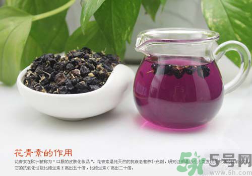 黑枸杞泡水是什么顏色？黑枸杞泡水是紫色的嗎？