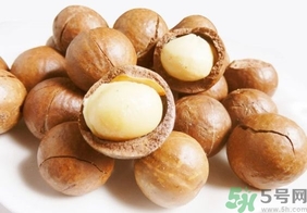 夏威夷果產(chǎn)地在哪里?夏威夷果和腰果哪個(gè)好 夏威夷果產(chǎn)地在哪里?夏威夷果和腰果哪個(gè)好