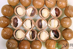 夏威夷果產(chǎn)地在哪里？夏威夷果為什么有奶香？