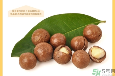 夏威夷果肉黏殼怎么辦？夏威夷果能放多久？