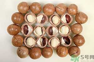 夏威夷果產(chǎn)地在哪里？夏威夷果為什么有奶香？