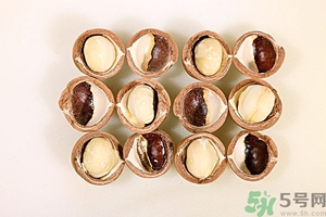 夏威夷果什么時候成熟上市？腰果和夏威夷果的區(qū)別