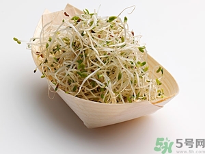 豆芽可以生吃嗎？豆芽炒粉條的家常做法