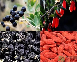 黑枸杞和紅枸杞有什么區(qū)別？黑枸杞和紅枸杞哪個(gè)好？