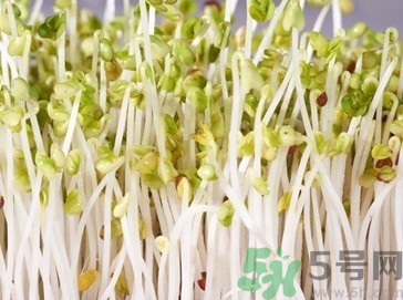 綠豆芽產(chǎn)婦可以吃嗎?產(chǎn)婦吃綠豆芽好嗎 綠豆芽產(chǎn)婦可以吃嗎?產(chǎn)婦吃綠豆芽好嗎