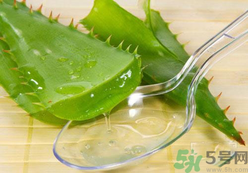 蘆薈膠要洗臉嗎？用完蘆薈膠要不要洗臉？