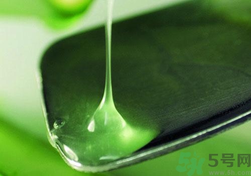 蘆薈膠要洗臉嗎？用完蘆薈膠要不要洗臉？