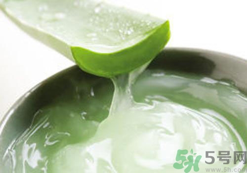 孕婦可以用蘆薈膠嗎？蘆薈膠孕婦可以用嗎？