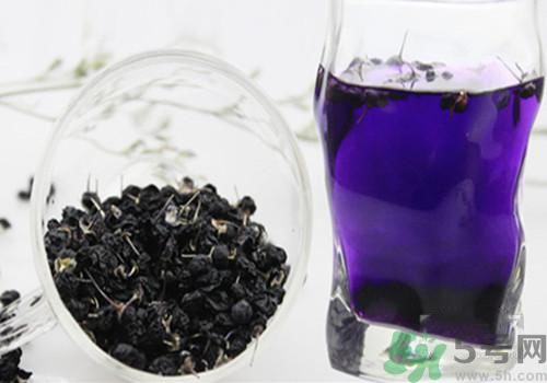 黑枸杞能用開水泡嗎？黑枸杞的沖泡方法