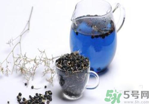 黑枸杞能用開水泡嗎？黑枸杞的沖泡方法