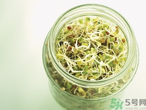 吃豆芽會(huì)胖嗎？豆芽會(huì)不會(huì)讓人長胖？