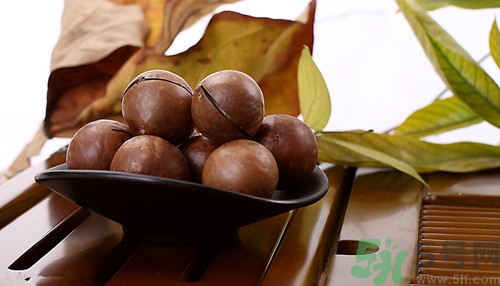 夏威夷果小孩可以吃嗎?夏威夷果有什么副作用 夏威夷果小孩可以吃嗎?夏威夷果有什么副作用