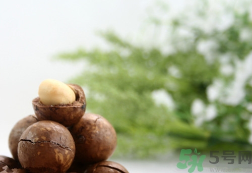 夏威夷果可以生吃嗎?生吃夏威夷果會(huì)怎么樣 夏威夷果可以生吃嗎?生吃夏威夷果會(huì)怎么樣