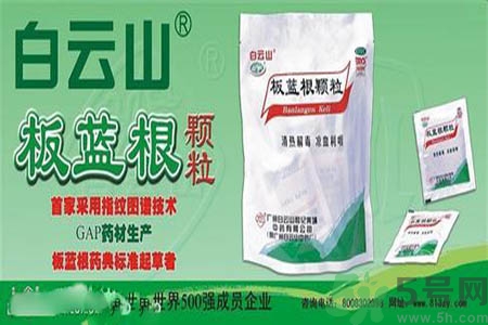 感冒了吃板藍(lán)根有效嗎？感冒了吃板藍(lán)根有用嗎？