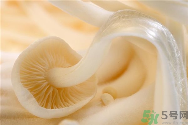 致癌金針菇怎么鑒別？如何選購金針菇？