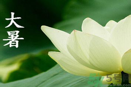 大暑是入伏嗎？大暑是最熱的時候嗎？