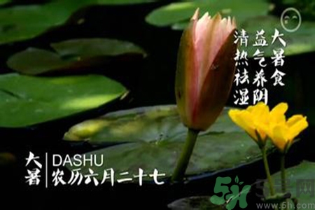 大暑吃什么養(yǎng)生？大暑吃什么好？