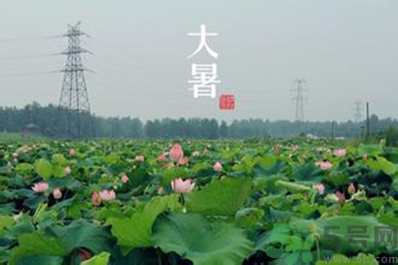 大暑吃什么養(yǎng)生？大暑吃什么好？