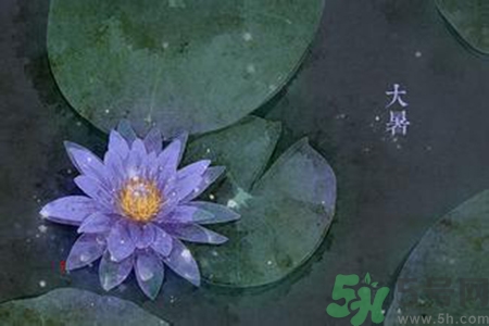 大暑吃什么養(yǎng)生？大暑吃什么好？