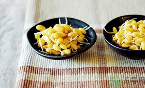 黃豆芽能涼拌嗎？涼拌黃豆芽的家常做法