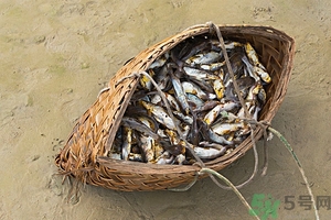 洪水里的魚能吃嗎？洪水里的魚可不可以吃？