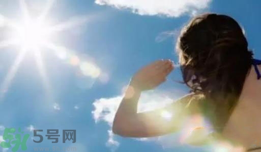 三伏天吃什么？三伏天傳統(tǒng)美食有哪些？