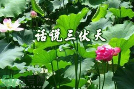 三伏天吃什么？三伏天傳統(tǒng)美食有哪些？