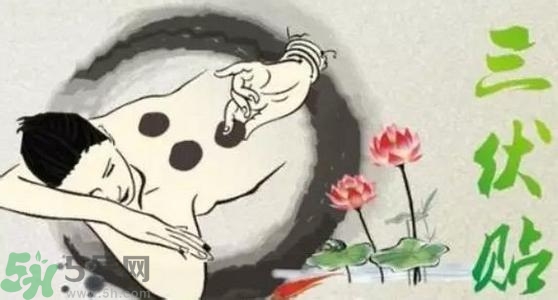 三伏貼有用嗎？三伏貼可以治什么??？