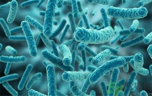 全國(guó)首例裂谷熱病 裂谷熱病是什么病？