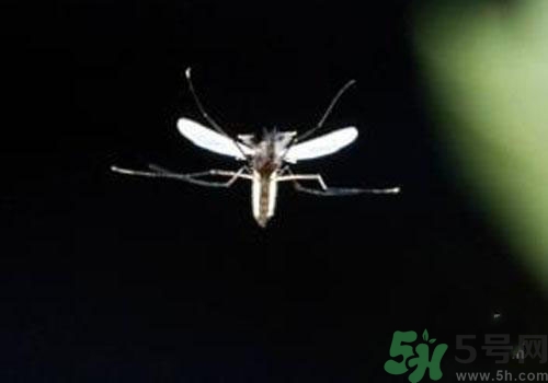 裂谷熱病怎么治？裂谷熱病的癥狀有哪些？