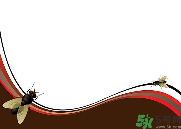 小飛蟲怎么消滅？小飛蟲怎么生出來的？