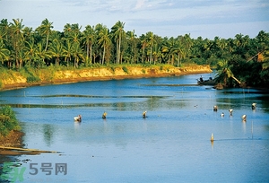 游泳曬傷了怎么辦？游泳曬傷如何處理？