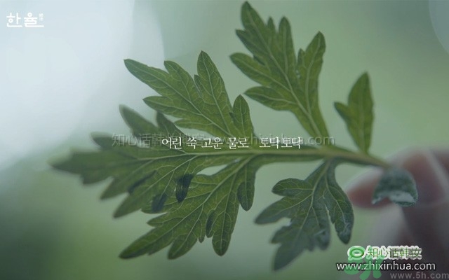 韓律艾草補(bǔ)水鎮(zhèn)靜噴霧怎么樣？好用嗎？