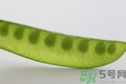 煮豌豆怎么做好吃？煮豌豆的做法