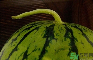 西瓜打針是真的嗎？西瓜打藥了是什么樣子？
