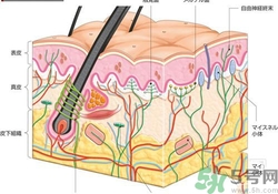 大熱天不出汗什么原因？夏天不出汗怎么辦？