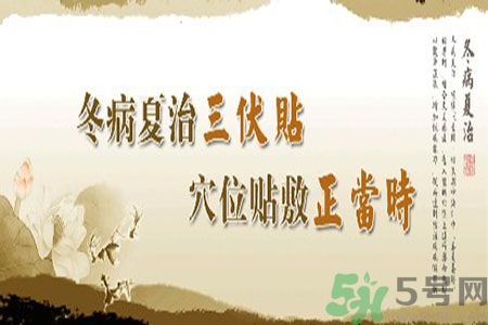 腎病可以貼三伏貼嗎？腎病三伏貼貼哪里？