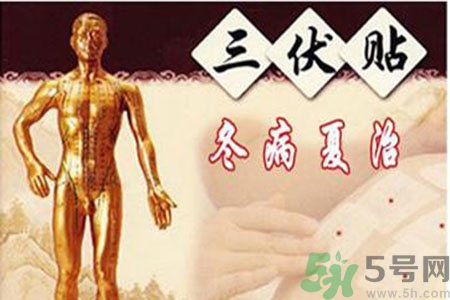 胃病可以貼三伏貼嗎？胃病貼三伏貼貼哪里？