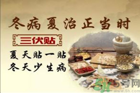 胃病可以貼三伏貼嗎？胃病貼三伏貼貼哪里？