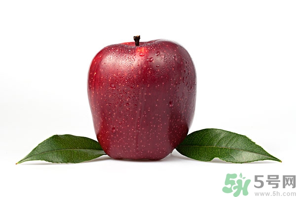 蛇果和蘋(píng)果有什么區(qū)別？蛇果是蘋(píng)果嗎？