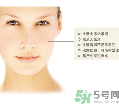 干性皮膚用什么洗面奶？干性皮膚該怎么保養(yǎng)？