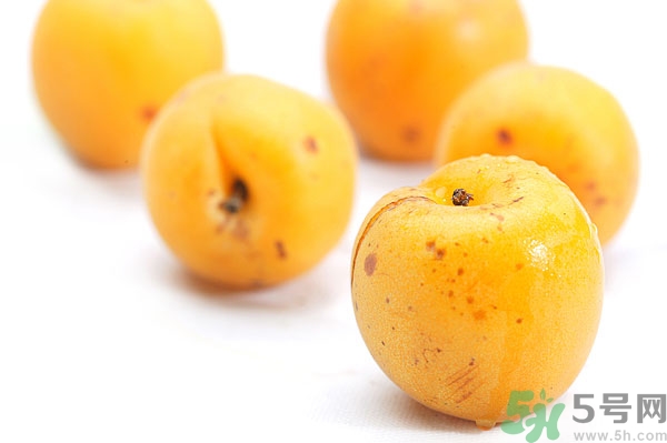 杏子孕婦可以吃嗎？懷孕初期可以吃杏子嗎？