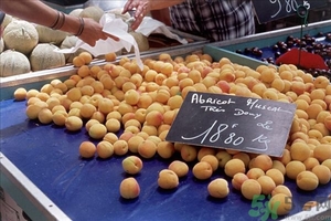 杏子孕婦可以吃嗎？懷孕初期可以吃杏子嗎？