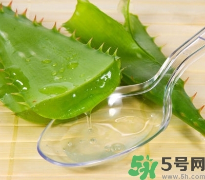 蘆薈膠可以當睡眠面膜用嗎?蘆薈膠坐睡眠面膜效果怎么樣? 蘆薈膠可以當睡眠面膜用嗎?蘆薈膠坐睡眠面膜效果怎么樣?