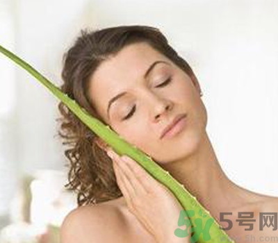 蘆薈膠會堵塞毛孔嗎？蘆薈膠應該怎么用？