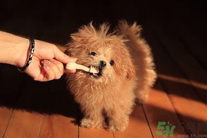 9歲男孩磨牙怎么回事？青少年磨牙是什么原因？