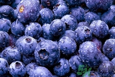 怎么挑選藍(lán)莓？藍(lán)莓怎么保存？